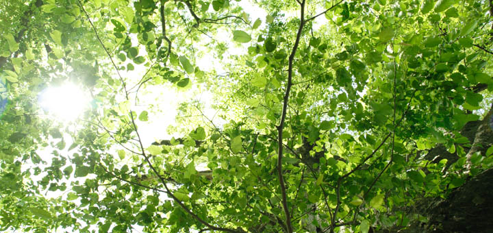 運気を上げる考え方の一つ