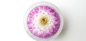 こだわりを持った人生