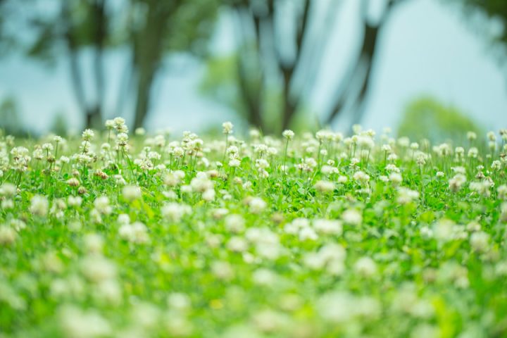 一年の計は立春にあり